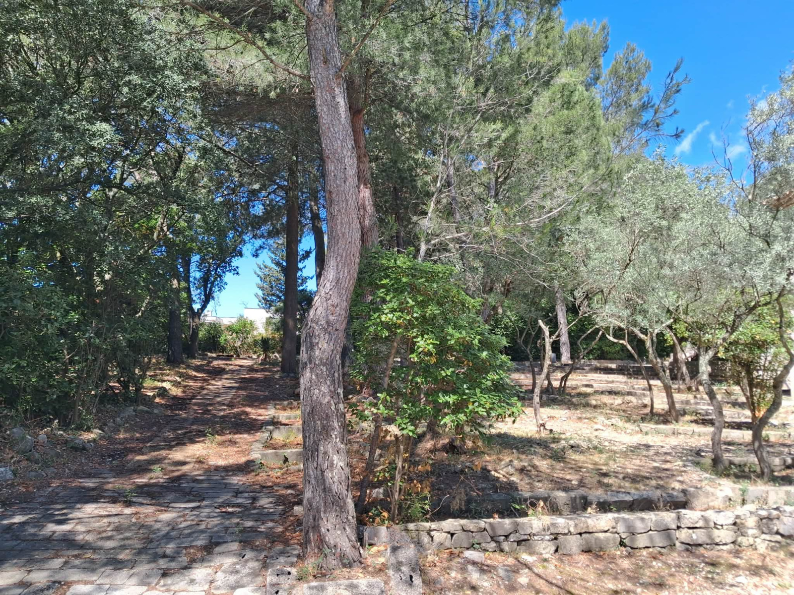 Image_, Villa, Nîmes, ref :BNTJ2