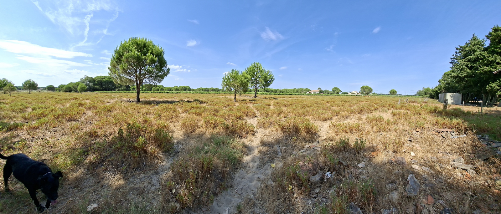 Image_, Mas, Saint-Laurent-d'Aigouze, ref :T757