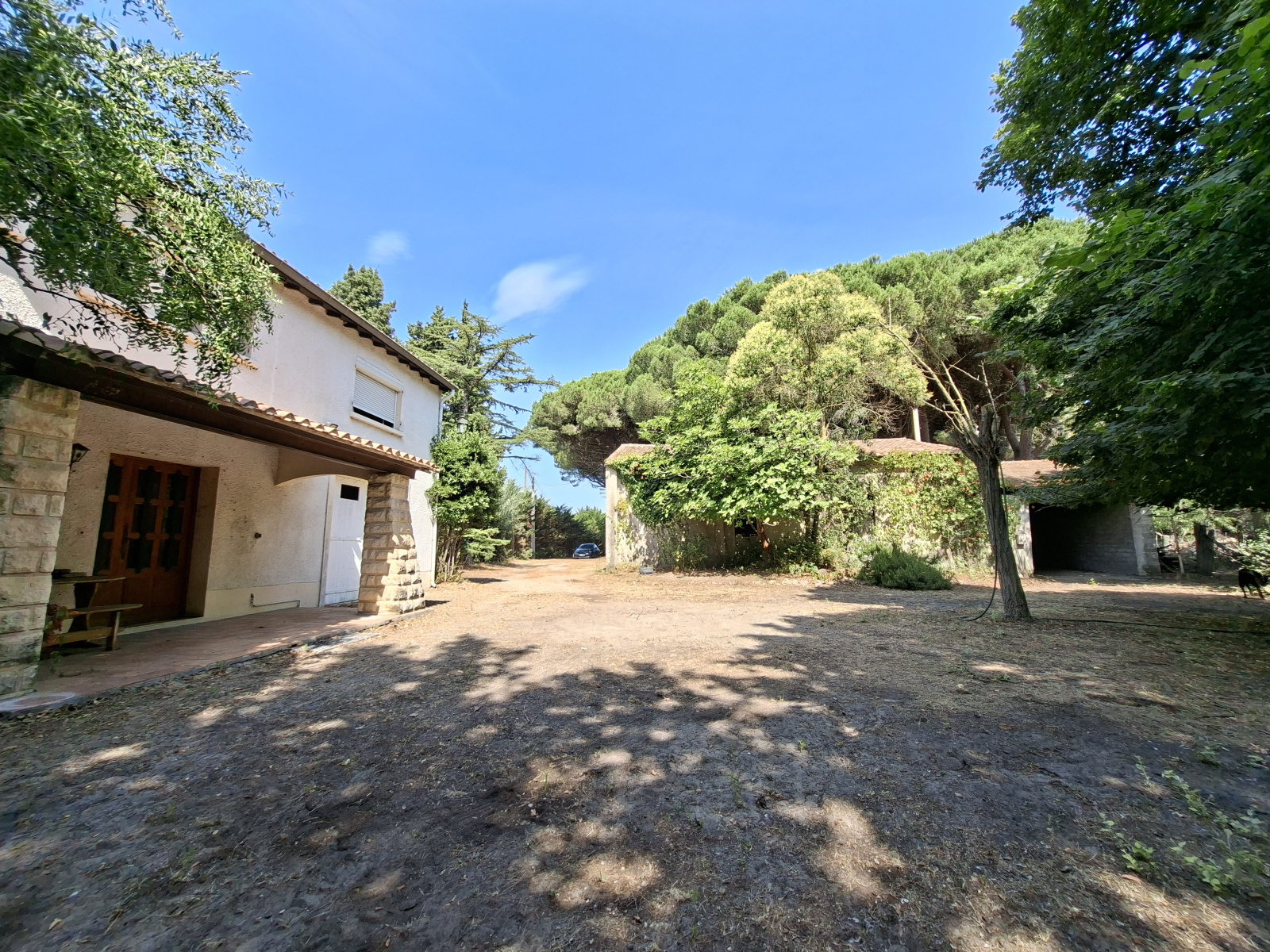 Image_, Mas, Saint-Laurent-d'Aigouze, ref :T757